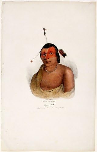 Pi-e-Jik je vođa plemena Chippeva. Fotografiju je snimio J. O. Luis tijekom sklapanja ugovora u Prairie du schien 1825.godine.