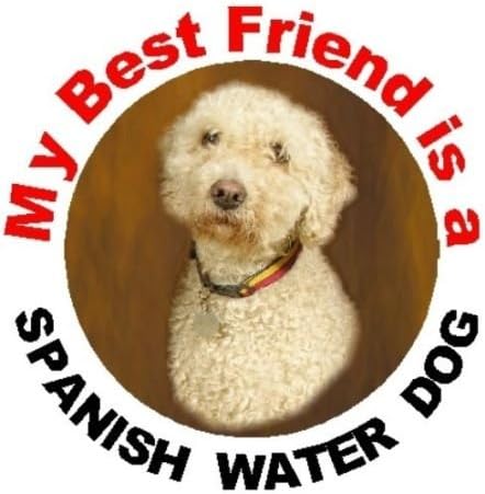 2 x Španjolske naljepnice prozora vodenog psa