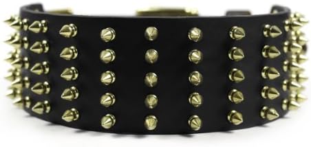 Dean & Tyler Leather Dog Collar Wide Spike Black - 22 do 2 3/4 Širina. Odgovarat će veličinu vrata 20 '' - 24 ''. Ovaj ovratnik
