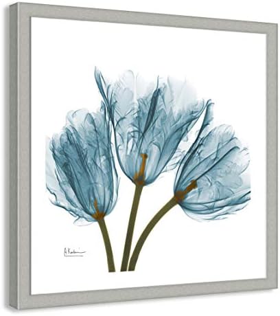 Casa likovna umjetnost tulip plavi indigo moderni rendgenski cvjetni zidni arhivski arhivski tisak, 31 x 31, brušeni srebrni