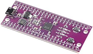 Rakstore W806 Microcontroller 240MHz 5-8bit STM32 Razvojna ploča IOT MCU CHIP CDK razvojni okruženje niska snaga IOT IoT