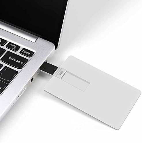Ne korak na SNEK USB Flash Drive Personalizirana memorija za pogon kreditne kartice UsB ključ pokloni