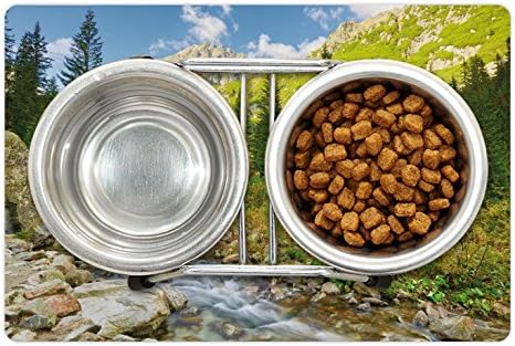 Prijenosna prostirka za kućne ljubimce na otvorenom za hranu i vodu, potok Roztoka, Nacionalni park Tatra, Karpatske planine,