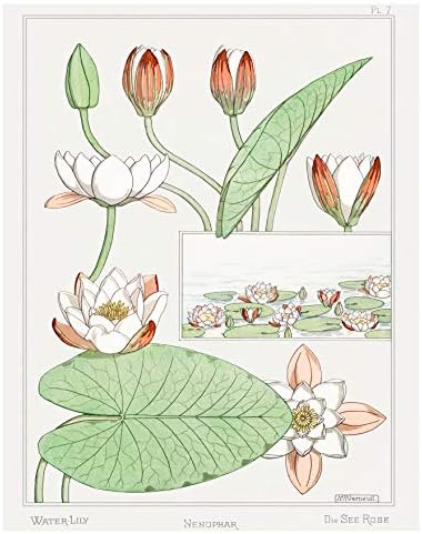 Vintage botanički otisci | French Wildflowers Wall Art by Ink Inc. | Cvjetni zidni dekor | Cottagecore Boho Farmhouse Design