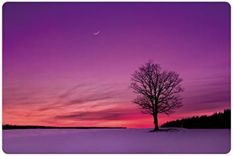 Prostirka za kućne ljubimce s mjesečevim noćnim nebom za hranu i vodu, idilični zalazak sunca u polju na pozadini zimskog