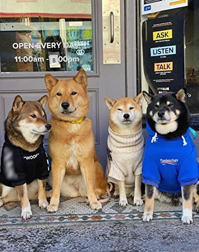 Chochocho Dog Hoodie Odjeća za kućne ljubimce, kapuljače za mačke, stilske ulične odjeće plave pseće dukserice, pseće odjeće