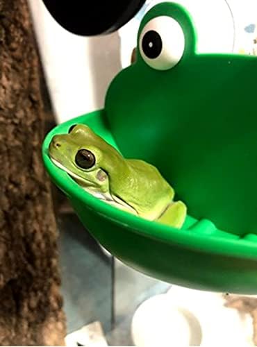 Stanište žabe Zoele, slatki ukras akvarija u obliku žabe s usisnim čašama za žabu / žabu gekona / kornjaču / punoglavca /